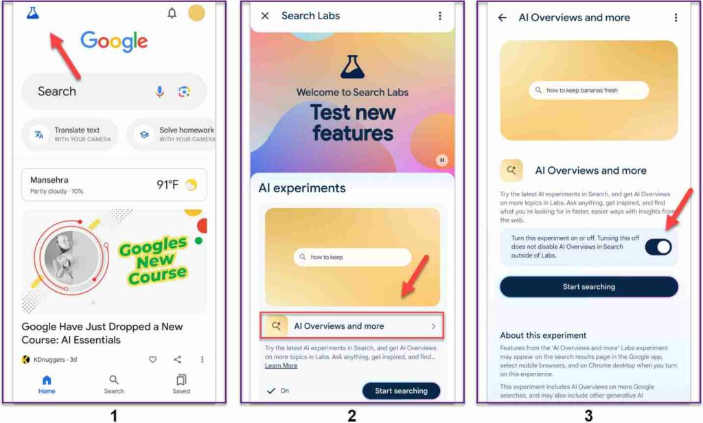 How To Turn Off Google Ai Overview