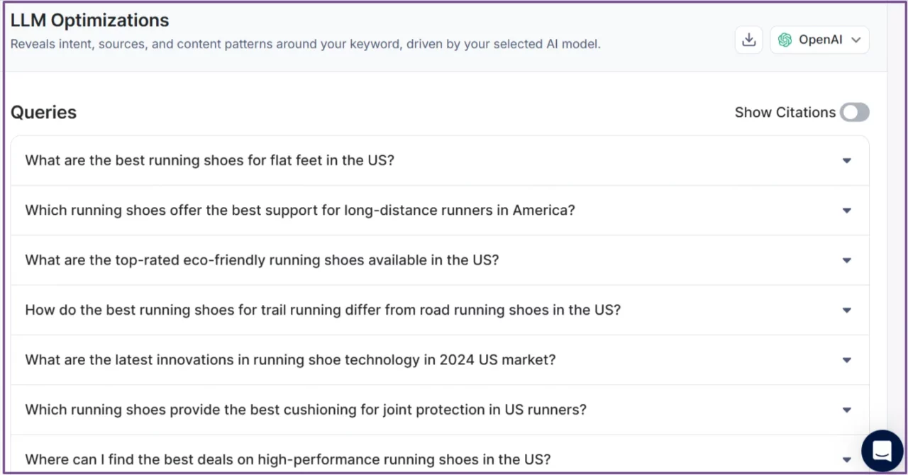 llm-queries-for-shoes-business-extracted-by-kiva (1)