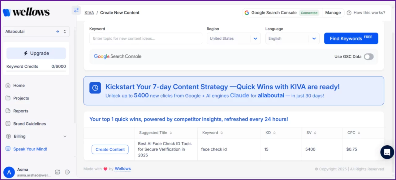 funzionalità-rapida-agente-seo-kiva