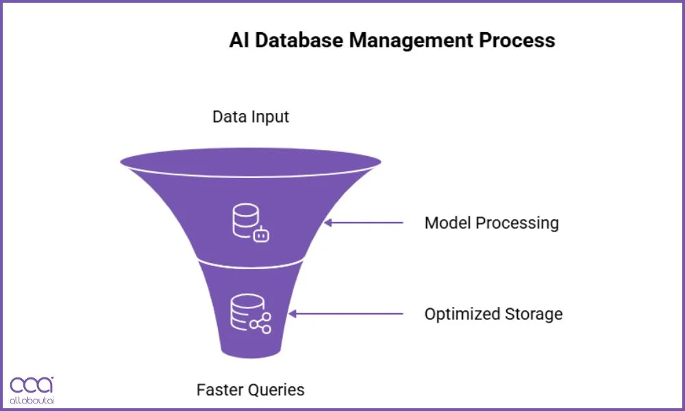 how-database-management-tool-work