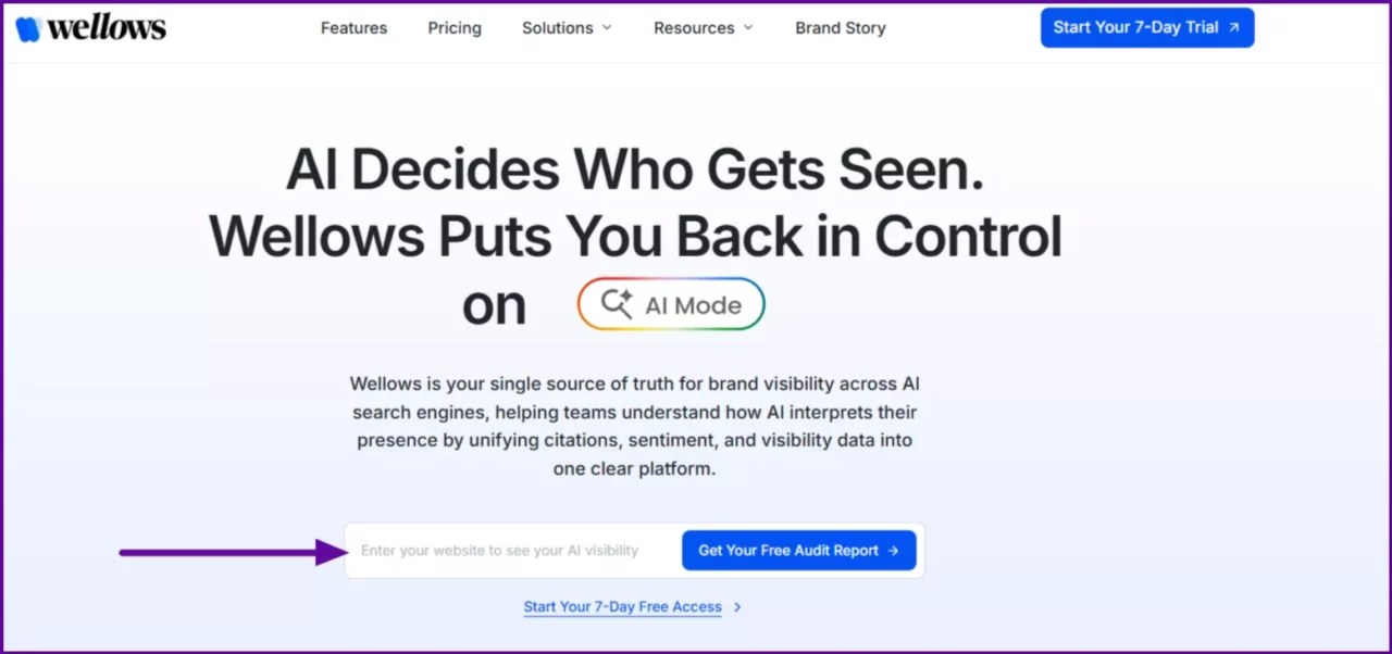 wellows-ai-search-visibility-for-ecommerce