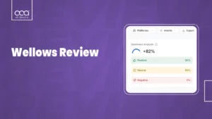Image-related-to-wellows-review-does-it-truly-show-how-ai-sees-your-brand